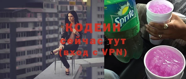 индика Кинешма
