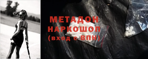 индика Кинешма