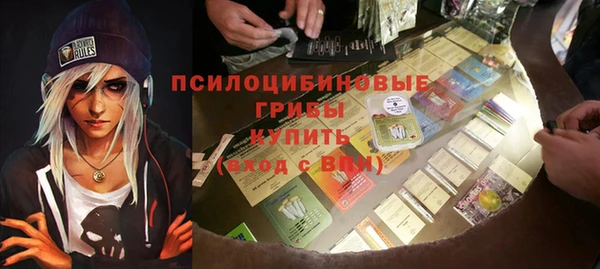 МДПВ Карталы