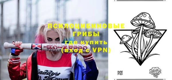 МДПВ Касимов