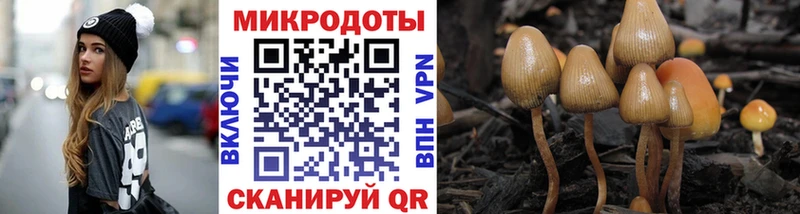Галлюциногенные грибы прущие грибы  Купить где  Заринск 